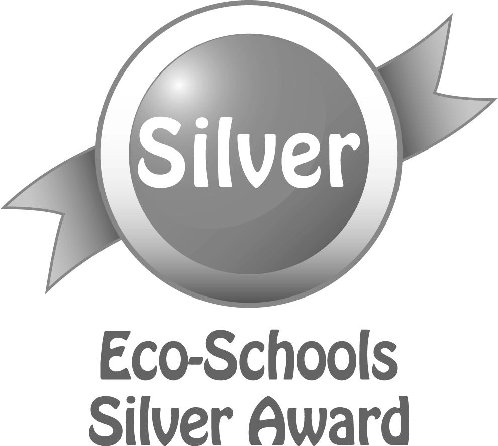 Silver ECO